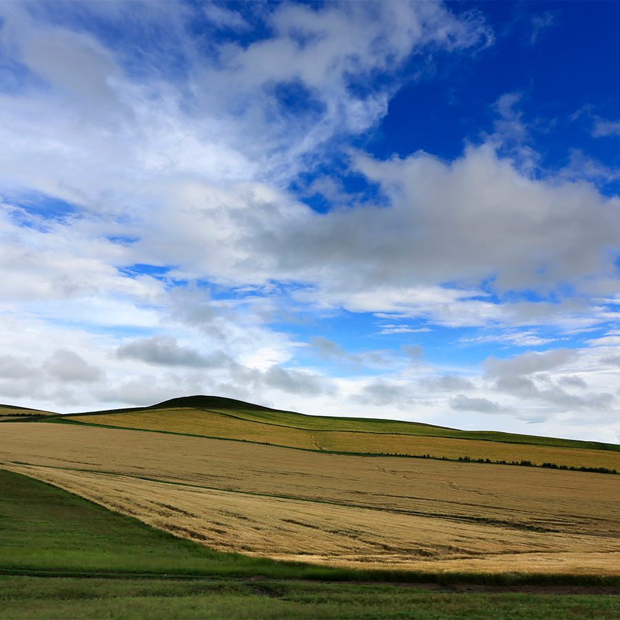 Hulun Buir Hailar Grassland